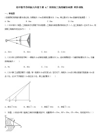 2020-2021学年6.7用相似三角形解决问题课时训练