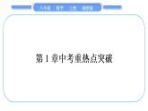 湘教版八年级数学上第1章分式中考重热点突破习题课件