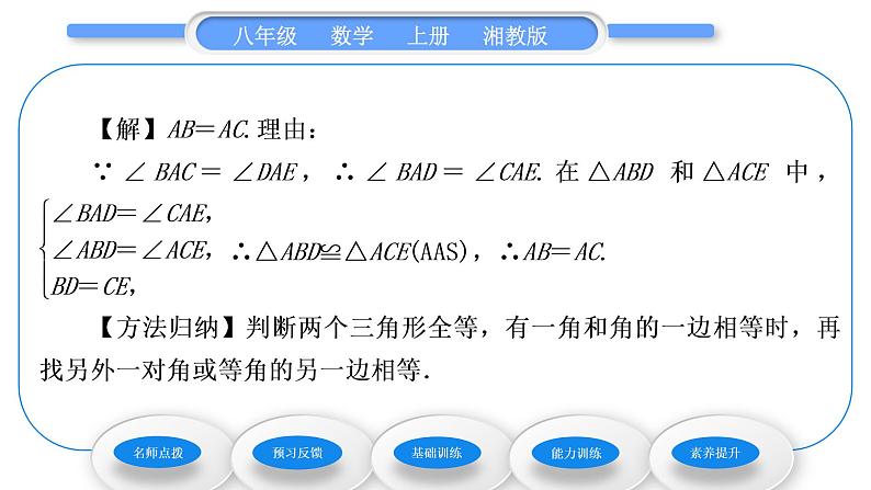 湘教版八年级数学上第2章三角形2.5全等三角形第4课时三角形全等的判定(AAS)习题课件第4页