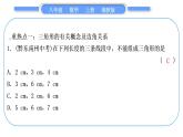 湘教版八年级数学上第2章三角形中考重热点突破习题课件