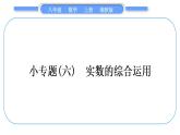 湘教版八年级数学上第3章实数小专题(六)实数的综合运用习题课件