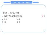 湘教版八年级数学上第3章实数中考重热点突破习题课件
