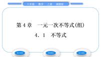 初中数学湘教版八年级上册4.1 不等式习题ppt课件