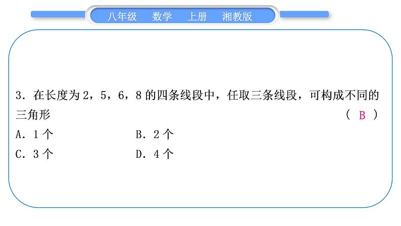 湘教版八年级数学上期末复习(二)三角形习题课件04