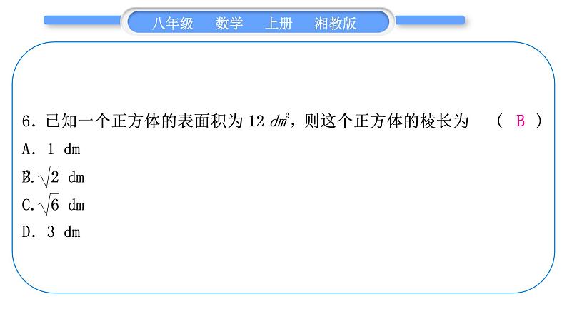 湘教版八年级数学上期末复习(三)实数习题课件07
