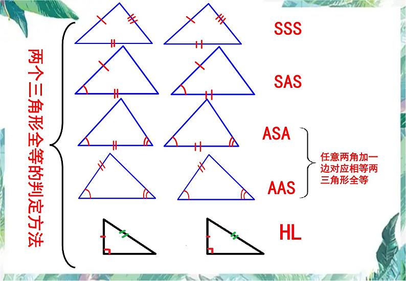 数学 人教版八年级上册  全等三角形复习课课件第4页