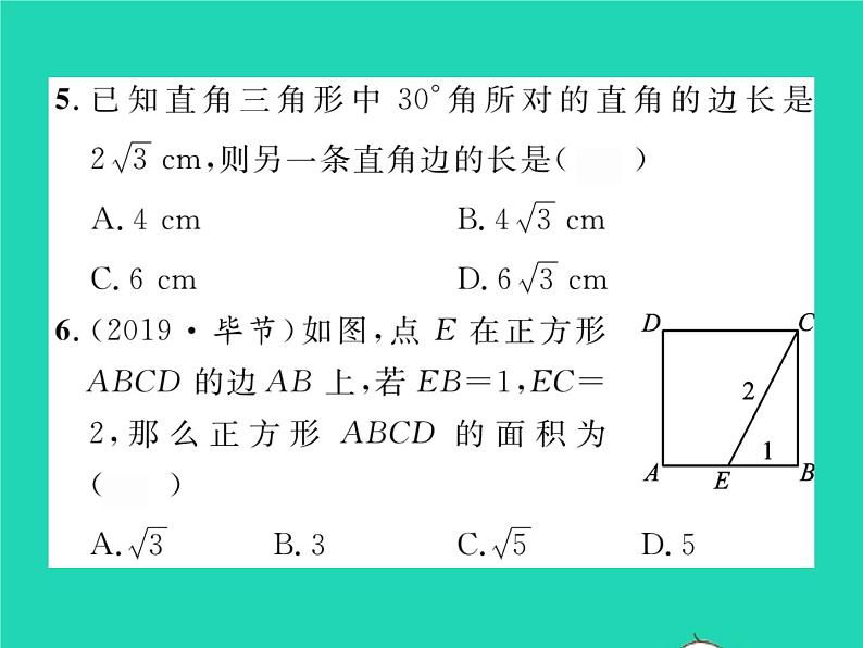 2022八年级数学下册第18章勾股定理18.1勾股定理第1课时勾股定理习题课件新版沪科版05