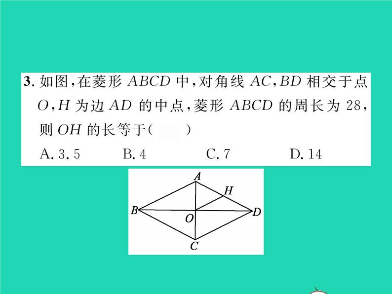 2022八年级数学下册第19章四边形19.3矩形菱形正方形19.3.2菱形第1课时菱形的性质习题课件新版沪科版04