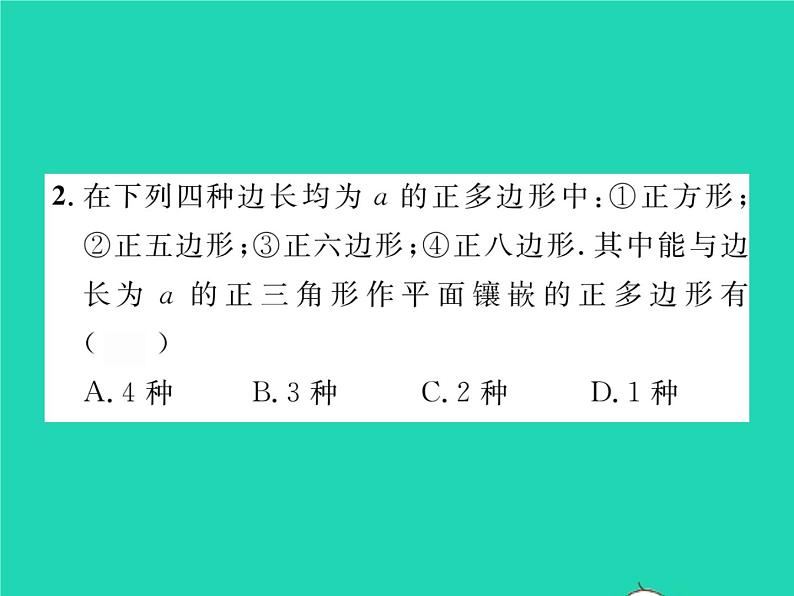 2022八年级数学下册第19章四边形19.4综合与实践多边形的镶嵌习题课件新版沪科版03