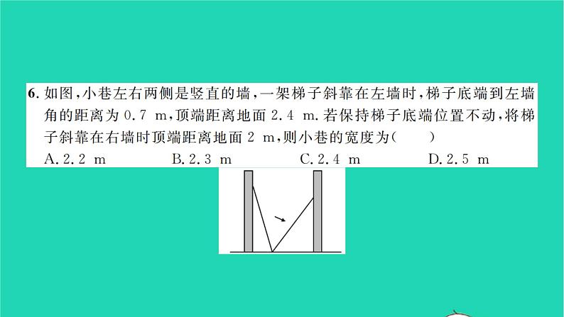 2022八年级数学下学期月考卷二习题课件新版沪科版第6页