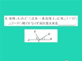 2022七年级数学下册第10章相交线与平行线10.1相交线第2课时垂线及其性质习题课件新版沪科版