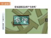 沪科版七年级数学上册课件 1.1.1  正数和负数