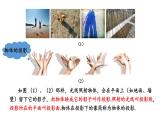 湘教版數(shù)學(xué)九年級下冊 3.1 投影 課件PPT+教案