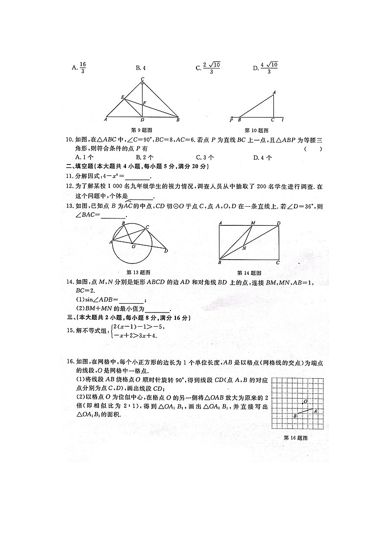 安徽省淮北市五校联考2022届九年级下学期第一次月考数学试卷（图片版）02