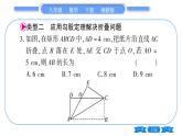 湘教版八年级数学下第1章直角三角形小专题（一）勾股定理的应用习题课件