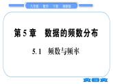 湘教版八年级数学下第5章数据的频数分布5.1 频数与频率习题课件