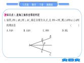 湘教版八年级数学下第1章直角三角形1.3直角三角形的判定习题课件