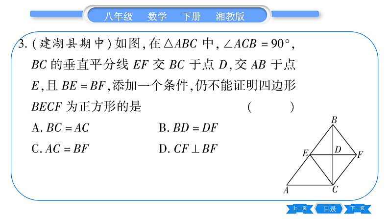 湘教版八年级数学下专项基本功训练(九)正方形的性质与判定习题课件04