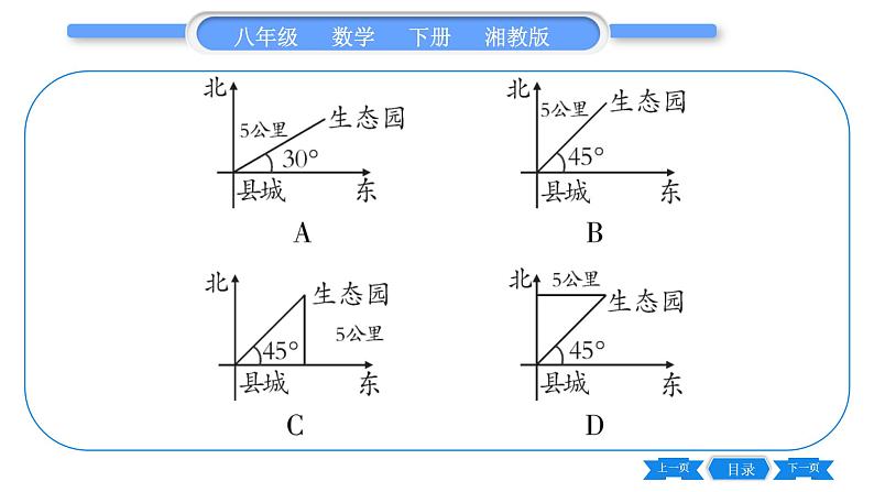 湘教版八年级数学下专项基本功训练(十)平面直角坐标系习题课件06