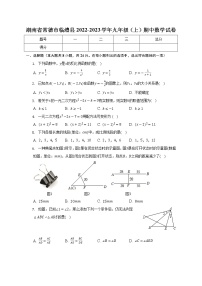 湖南省常德市临澧县2022-2023学年九年级上学期期中数学试卷(含答案)