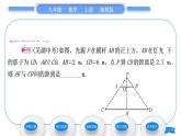 湘教版九年级数学上第3章图形的相似3.4相似三角形的判定与性质3.4.2 相似三角形的性质第1课时相似三角形对应重要线段的性质习题课件