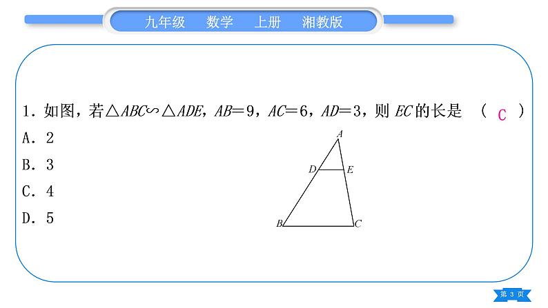 湘教版九年级数学上第3章图形的相似3.4相似三角形的判定与性质小专题(五) 相似三角形判定的基本模型习题课件03