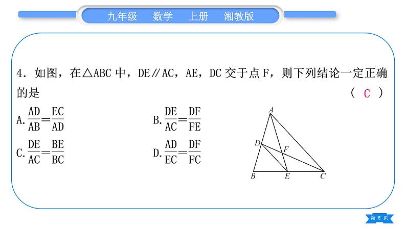 湘教版九年级数学上单元周周测(十一)(图形的相似)习题课件第5页