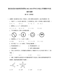 湖北省武汉市新洲区阳逻街2022-2023学年九年级上学期期中考试数学试题(含答案)