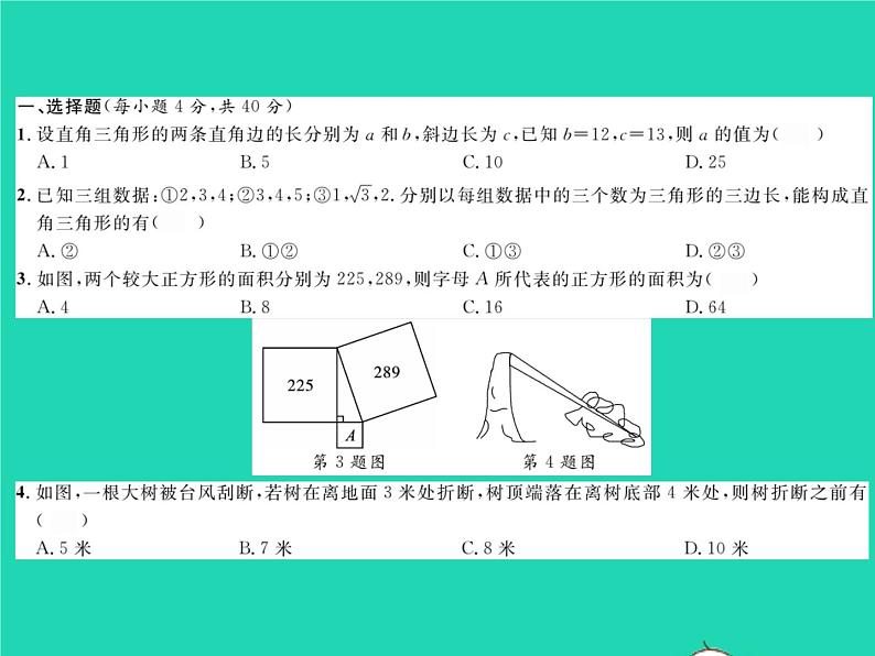 2022八年级数学下册第18章勾股定理综合检测习题课件新版沪科版第2页