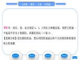 沪科版七年级数学上第3章一次方程与方程组3.2一元一次方程的应用第1课时等积变形与行程问题习题课件