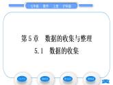 沪科版七年级数学上第5章数据的收集与整理5.1数据的收集习题课件