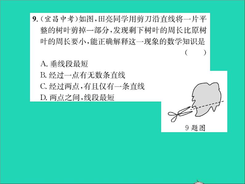 2022七年级数学上册第二章几何图形的初步认识2.3线段的长短习题课件新版冀教版第7页