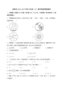 河南省新蔡县2022-2023学年八年级（上）数学期末模拟测试（含答案及详解）