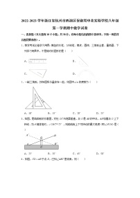 浙江省杭州市西湖区保俶塔申花实验学校2022-2023学年八年级上学期期中数学试卷(含答案)