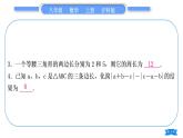 滬科版八年級數(shù)學(xué)上第13章三角形中的邊角關(guān)系、命題與證明章末復(fù)習(xí)與提升(習(xí)題課件)