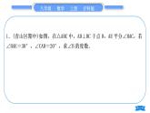 滬科版八年級數(shù)學(xué)上第13章三角形中的邊角關(guān)系、命題與證明知能素養(yǎng)小專題(四)與角平分線有關(guān)的模型歸納(習(xí)題課件)