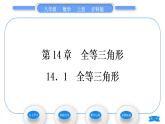 沪科版八年级数学上第14章全等三角形14.1全等三角形(习题课件)