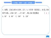 沪科版八年级数学上第14章全等三角形章末复习与提升(习题课件)