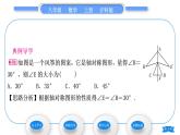 沪科版八年级数学上第15章轴对称图形与等腰三角形15.1轴对称图形第2课时轴对称及线段垂直平分线(习题课件)
