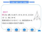 沪科版八年级数学上第15章轴对称图形与等腰三角形15.3等腰三角形第1课时等腰(边)三角形的性质(习题课件)