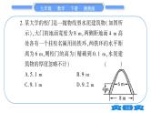湘教版九年级数学下单元周周测(三)  (1.1一1.5)习题课件