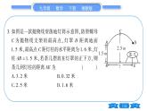 湘教版九年級(jí)數(shù)學(xué)下專項(xiàng)基本功訓(xùn)練(四)二次函數(shù)與實(shí)際問題(一)習(xí)題課件