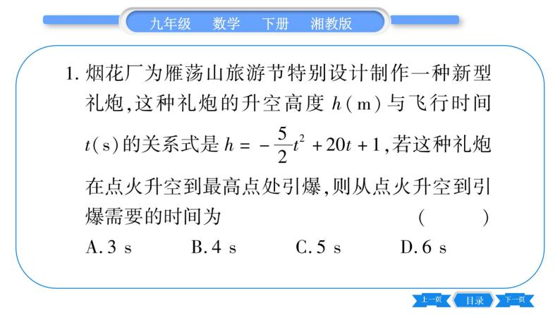 湘教版九年级数学下专项基本功训练(五)二次函数与实际问题(二)习题课件02