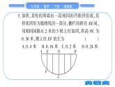 湘教版九年級(jí)數(shù)學(xué)下專項(xiàng)基本功訓(xùn)練(五)二次函數(shù)與實(shí)際問題(二)習(xí)題課件