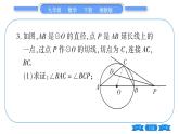 湘教版九年级数学下专项基本功训练(十)切线的性质及判定(二)习题课件