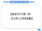 沪科版七年级数学上第3章一次方程与方程组知能素养小专题(四)一次方程与方程组的解法习题课件