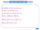 滬科版七年級數(shù)學(xué)上第4章直線與角基本功強(qiáng)化訓(xùn)練(五)線段與角的計(jì)算專練習(xí)題課件