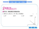 沪科版七年级数学下第10章相交线、平行线与平移10.1 相交线第2课时 垂线及其浓本事实习题课件