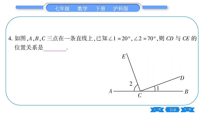 沪科版七年级数学下第10章相交线、平行线与平移10.1 相交线第2课时 垂线及其浓本事实习题课件08