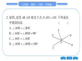 沪科版七年级数学下第10章相交线、平行线与平移第10章常考命题点突破习题课件